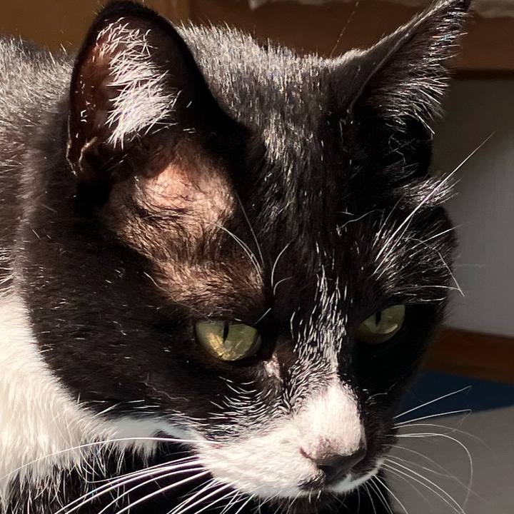 2125cfbf 4da4 44ee b915 7a1e21c92c37 1713586237844