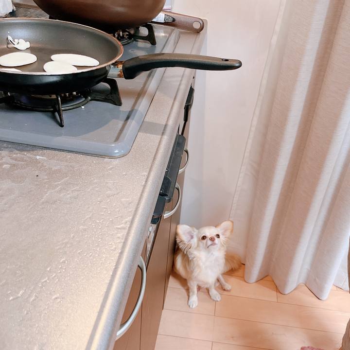 2125dba1 ddc4 44c3 bdca 2b53cb59950d 1657288705948