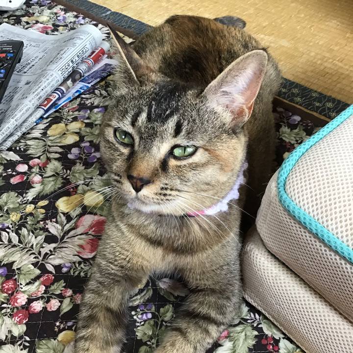 21261b0a 2fff 467c 8702 1d32bcac32e9 1593046807513