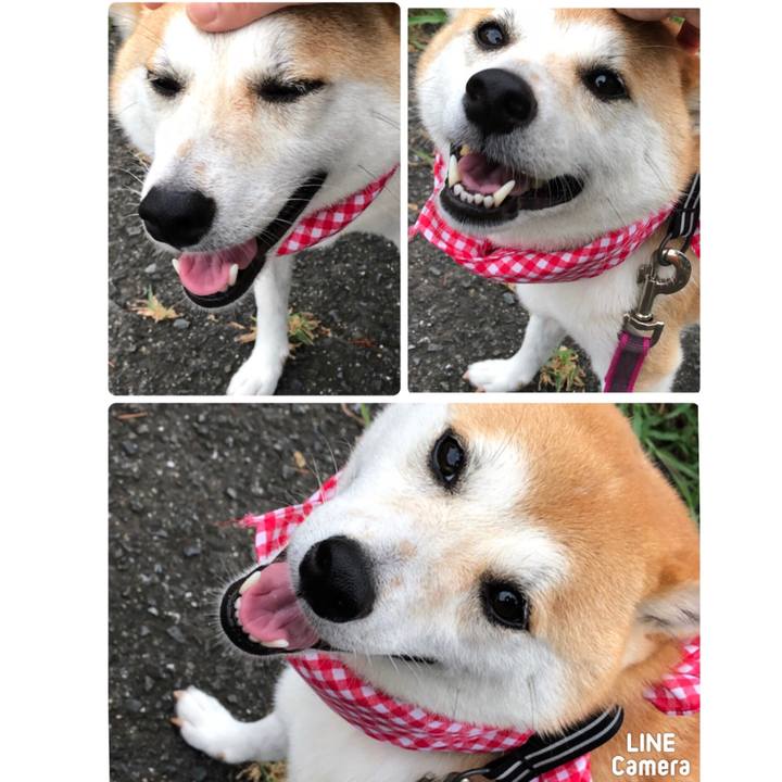 21263df8 1625 478d 88b2 97cb9df9ac2f 1534200144522