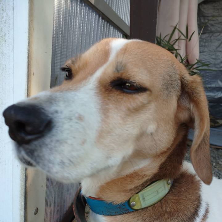 21265463 1704 416b bfb9 6f2326c816dd 1607154080277