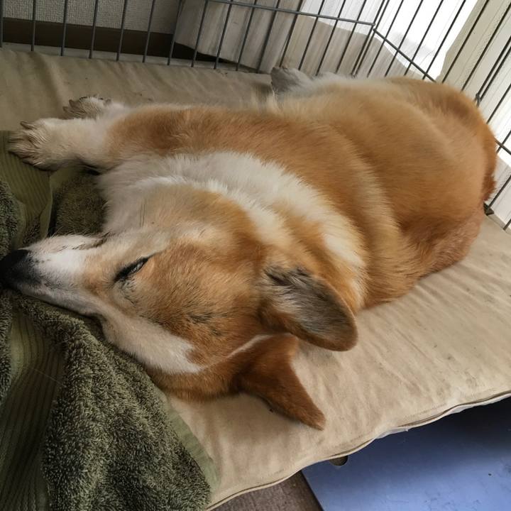 2126567e b018 426f ad41 7714d022df30 1527595777543