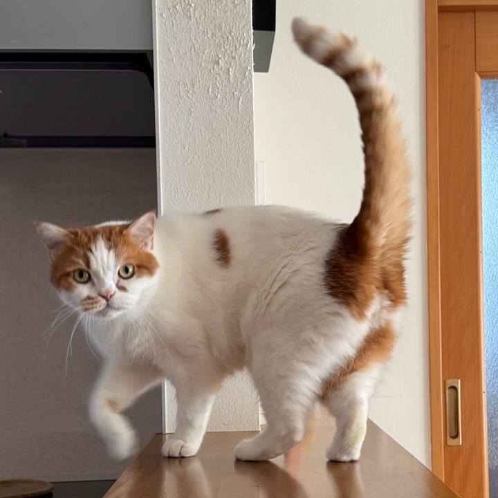 21267ab0 a8c2 4703 9dab 14f0b55a43b7 1763955716479