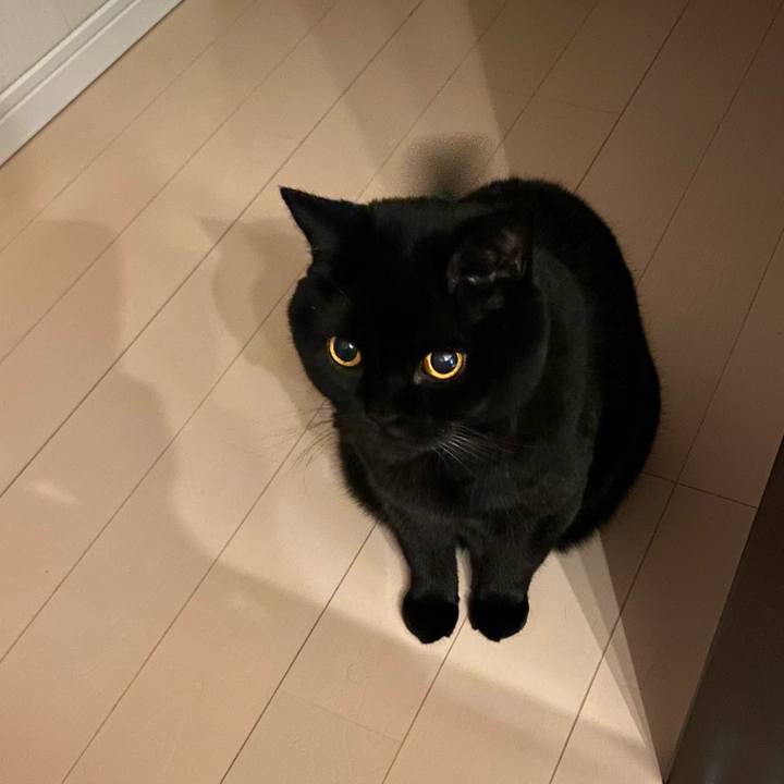 212685c6 3e33 48b3 8dad 89587b8a1421 1760874674064