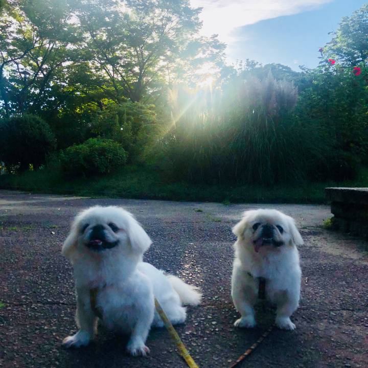 2126a4e1 6d64 4a8e a6d5 a8b682194e69 1600035775775