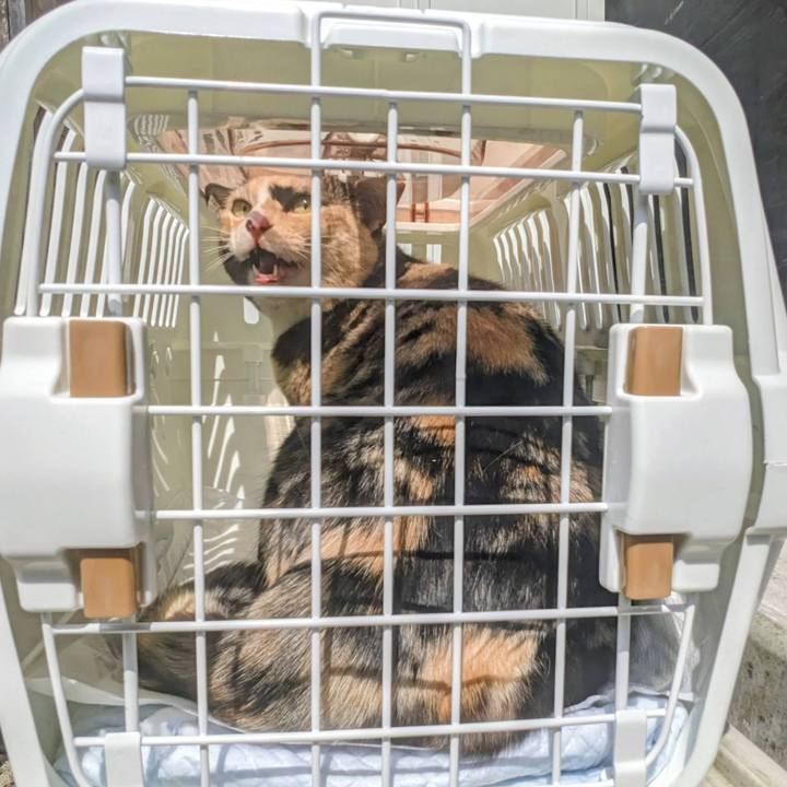 2126a609 7950 4aa4 a4a6 1537c39909a7 1773757226254