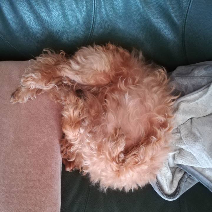 2126b3aa ffc1 4c3e a171 982badedb3db 1538795102715