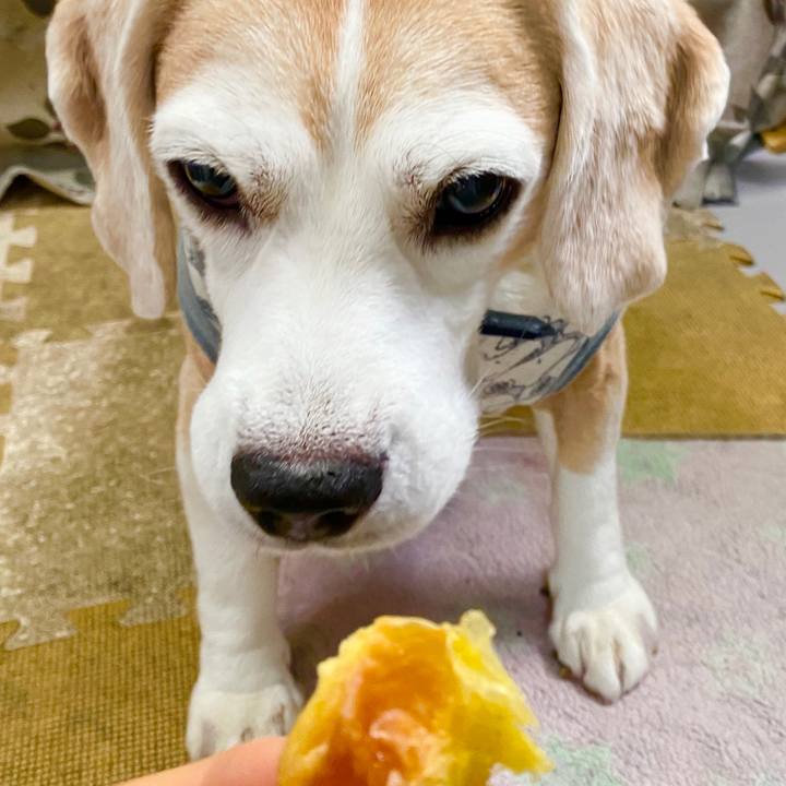 2126b3d8 0180 40c3 9100 c76fa26de820 1599450618316