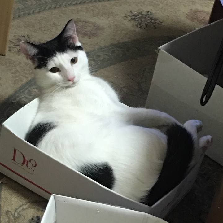 2126c48b bec7 4a69 a17b 0c7db75c3f80 1542975819519