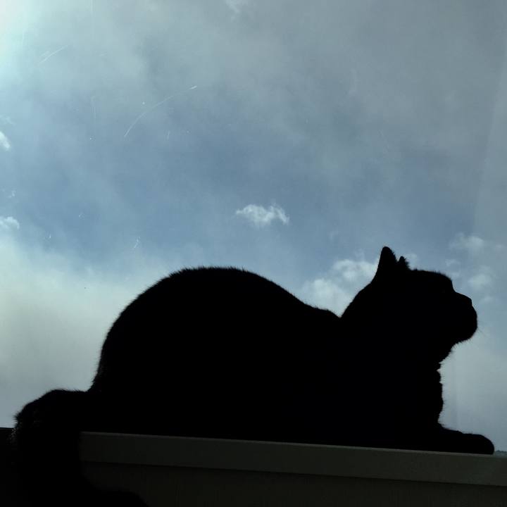 21271f89 85ce 446f 9995 aa8cb1c55611 1581224396632