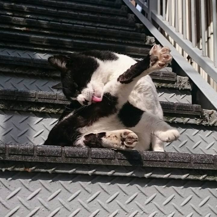 21272453 7c95 4cd7 9c51 6d043eb80d4f 1522025087020