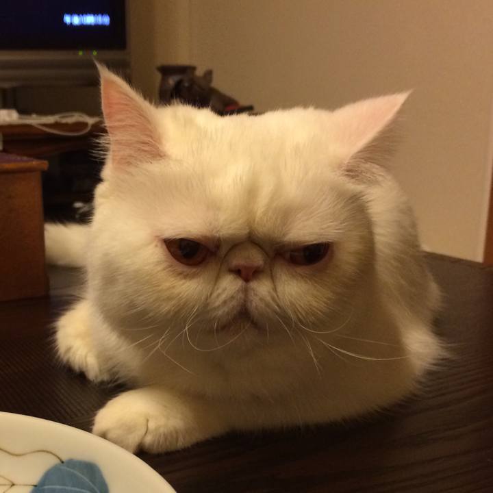 2127346c 96aa 47c8 90ad 01e2e56b873c 1621666354342