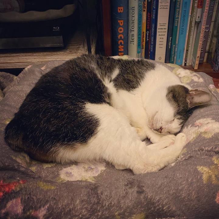 212736c7 9389 425e 8bc2 991469c15032 1611669871717