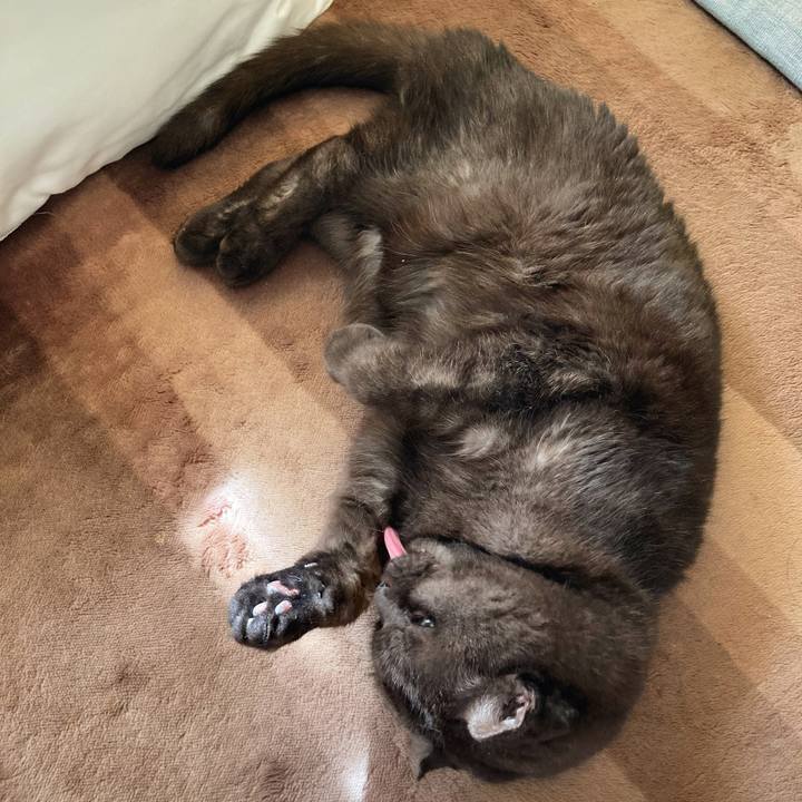 21274da4 9506 45ef 9117 18c948f05c3f 1636273804866