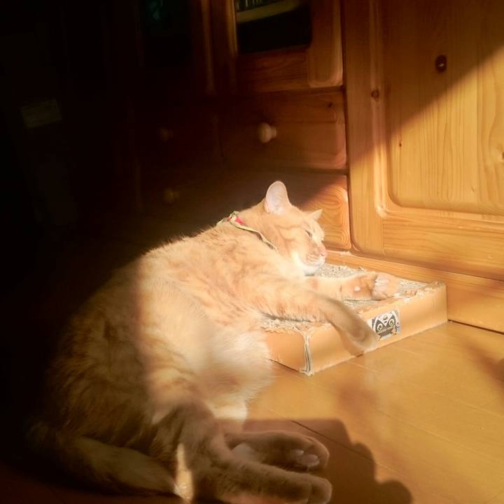 2127562e 0e3c 4ce2 98c1 0c4cac73832c 1514433313892