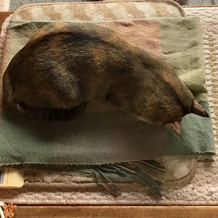 2127789e adc4 4378 bf15 7bb04899ec81 1578644154572