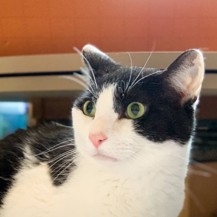 21277e9a 3bcc 4b99 97cf e45c8a1b8eba 1591408552492