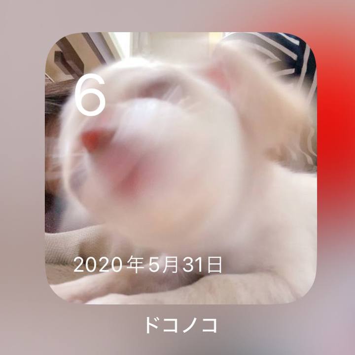 21279350 c4bf 44b3 a13c c5df03f17ada 1717660850835