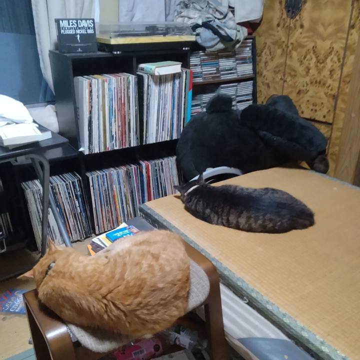 21279d36 9876 4ee0 8e15 228e1ea9e68e 1724575693791