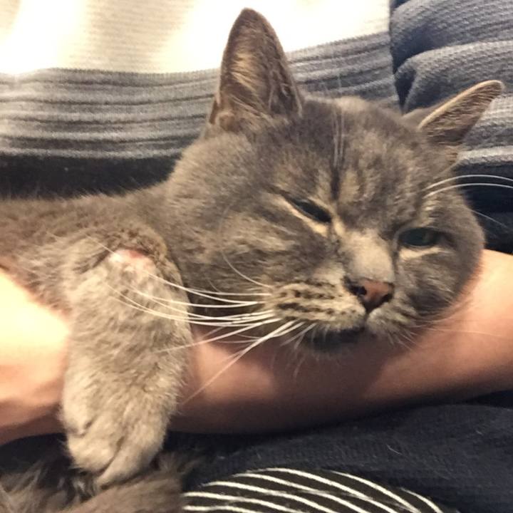 2127aec7 095d 4b60 9ee7 eac1ee0c50bc 1546007368301