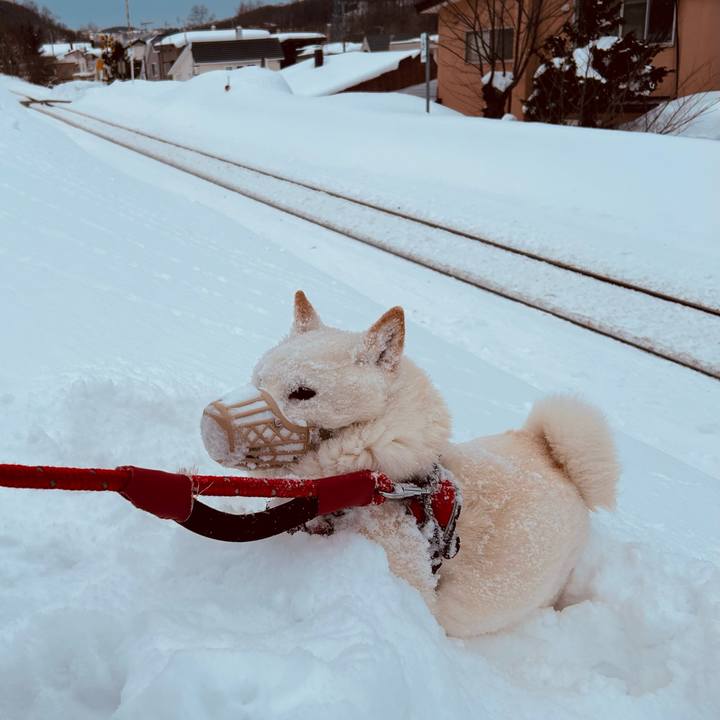 2127b2f6 ae99 4f59 9ded 191d3f52ca91 1708912118270