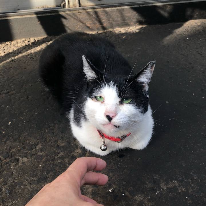 2127dccc 92ba 47d3 bab0 0555745501fb 1555680201989