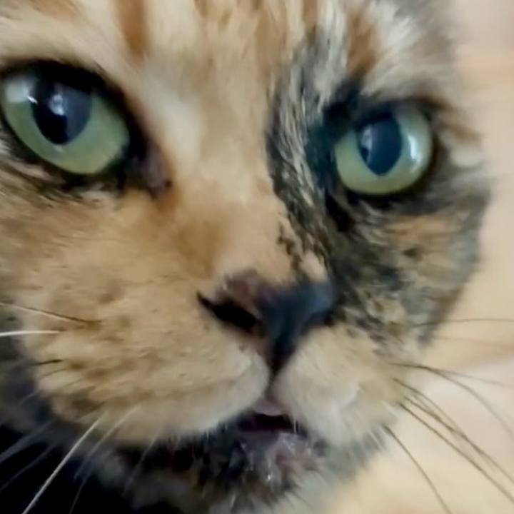 2127e4ae 46eb 40a8 913a 144576733c64 1751078587336