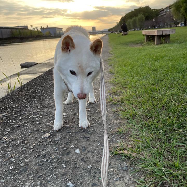 2127ebc4 722e 4aa7 9b6b 702b2f3f46b5 1634295383251