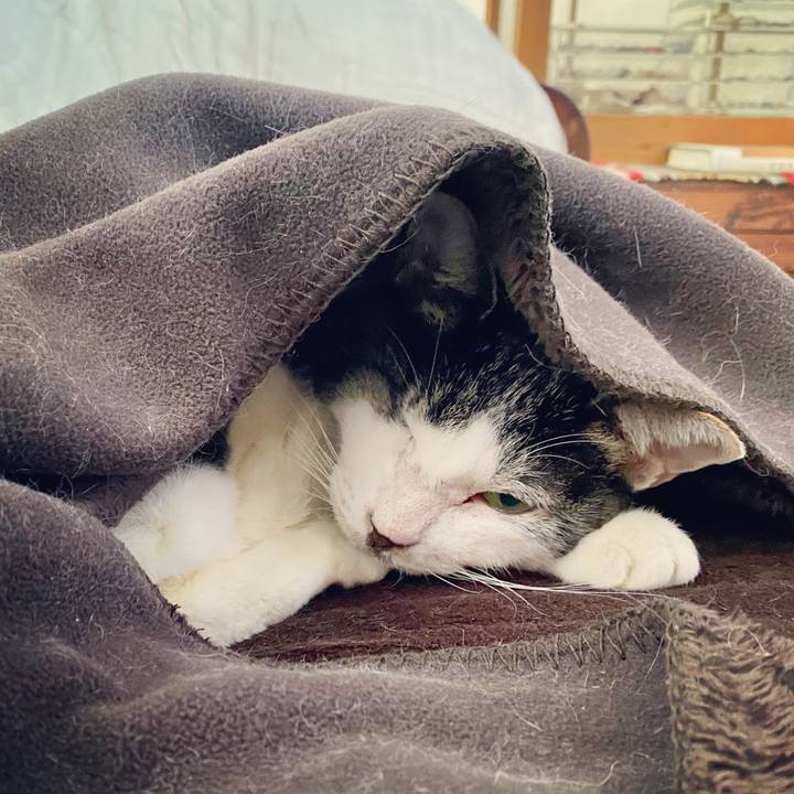 2127f743 8333 4534 a62f 5a5dd715d2be 1601103896458