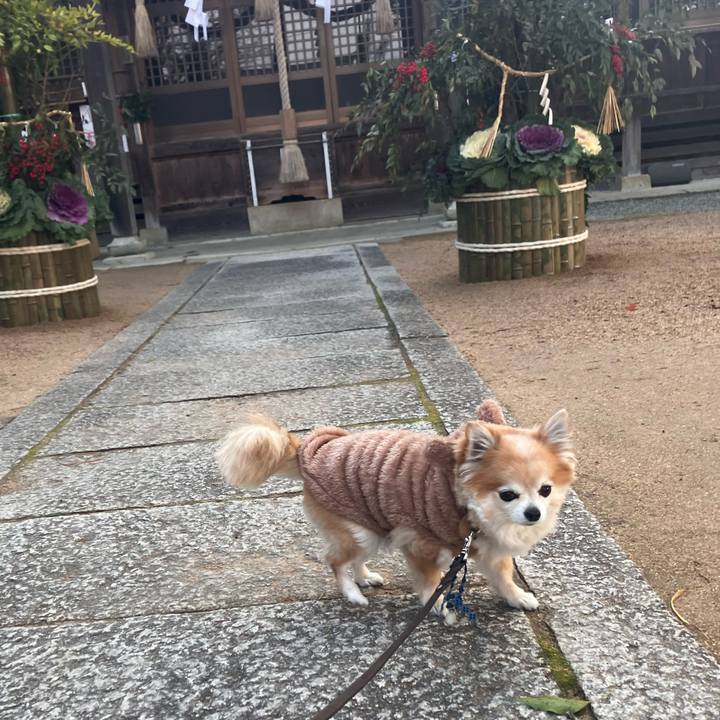 2128287d 75fb 416a 9e8d 90f9a1ab0071 1767093642139