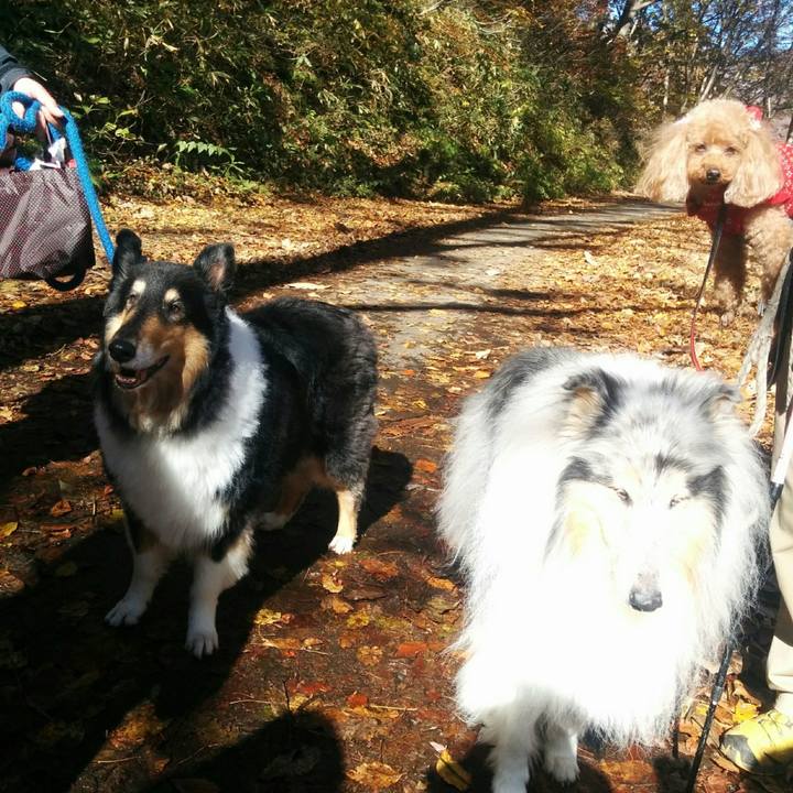 212828ee 9a78 46fe a628 4556feccae74 1635077356220