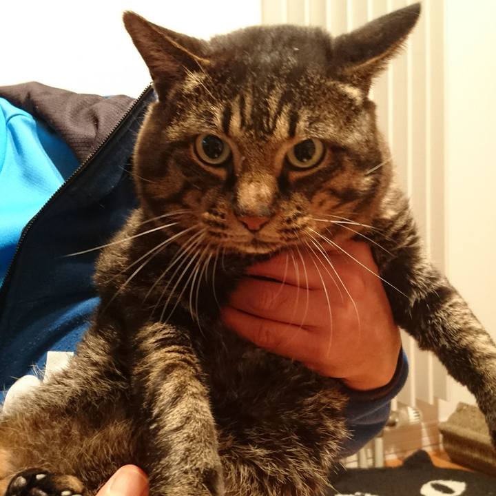 21283166 53e2 4a01 bb7f b6669e326ac8 1541945158407