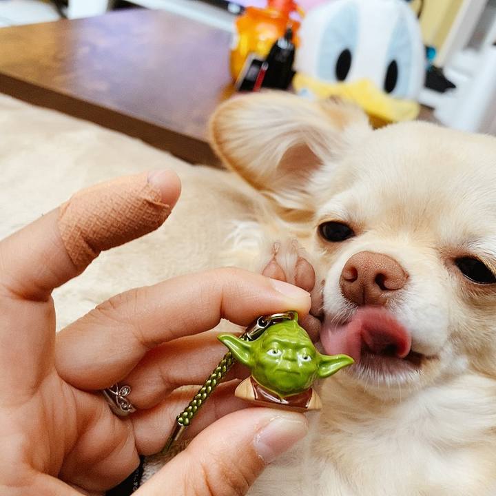 2128465c 7642 4809 bf6d 0c0b3fd40894 1618108892298