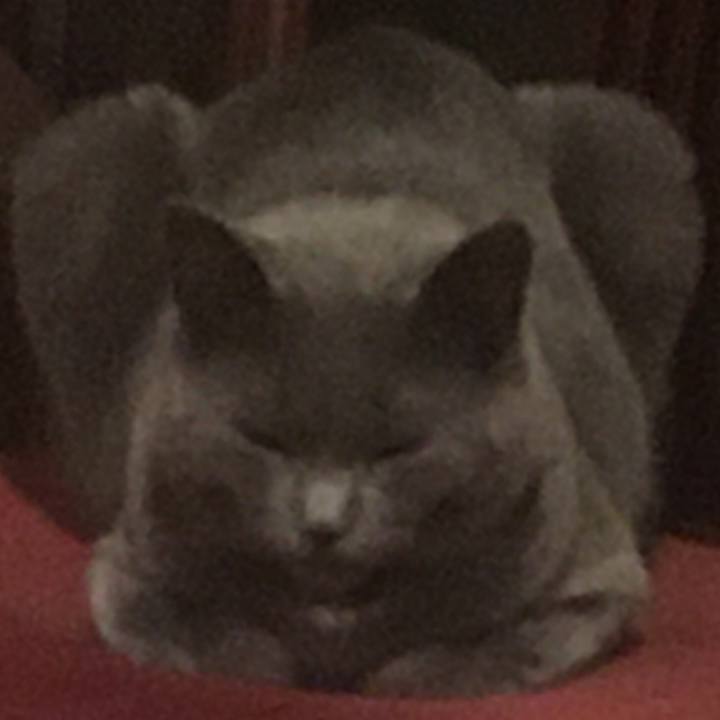 21285273 629c 4fff 9536 3ea955eb975c 1617413531999