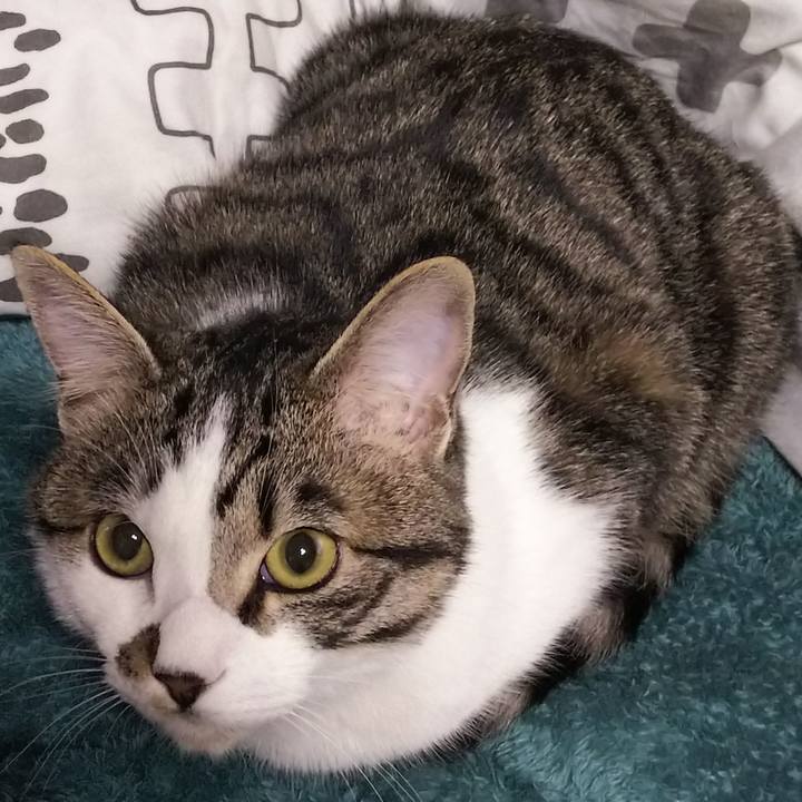 21285e6a c8ac 4426 90f9 e6c3666e17b8 1619393041596