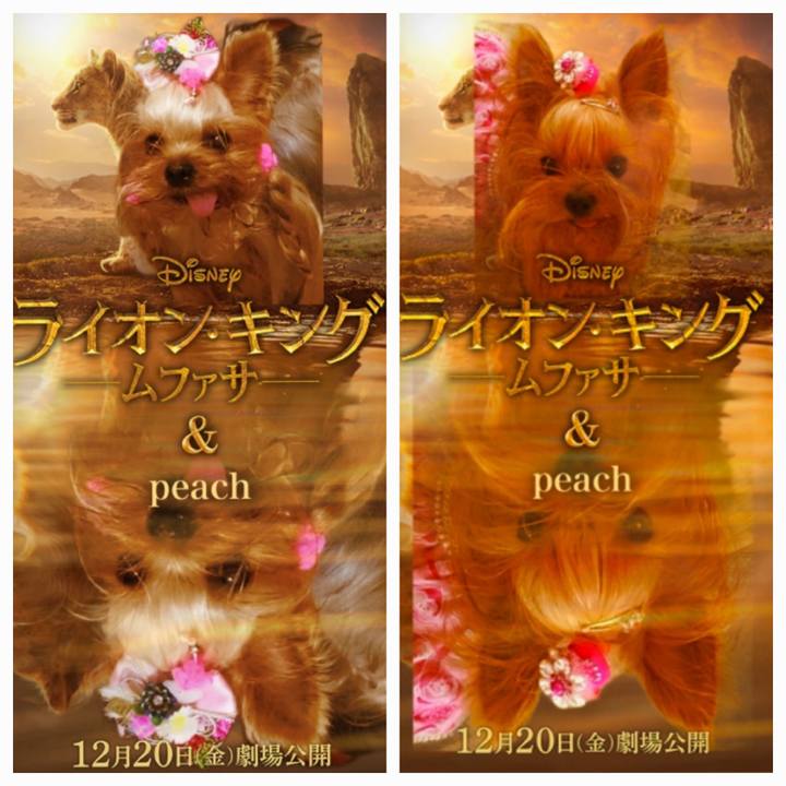 21286ad4 a1da 4d9d 843b 02cca9ce8930 1734614430710