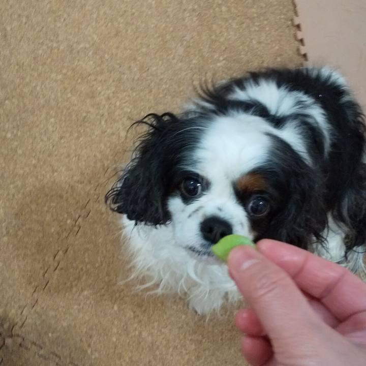 21288e2e 6f2e 4326 94da cf80b6281493 1588251236795