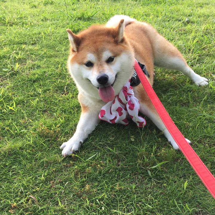 21289207 c7e8 4939 8ac3 ead5c2d72fdf 1595232296549