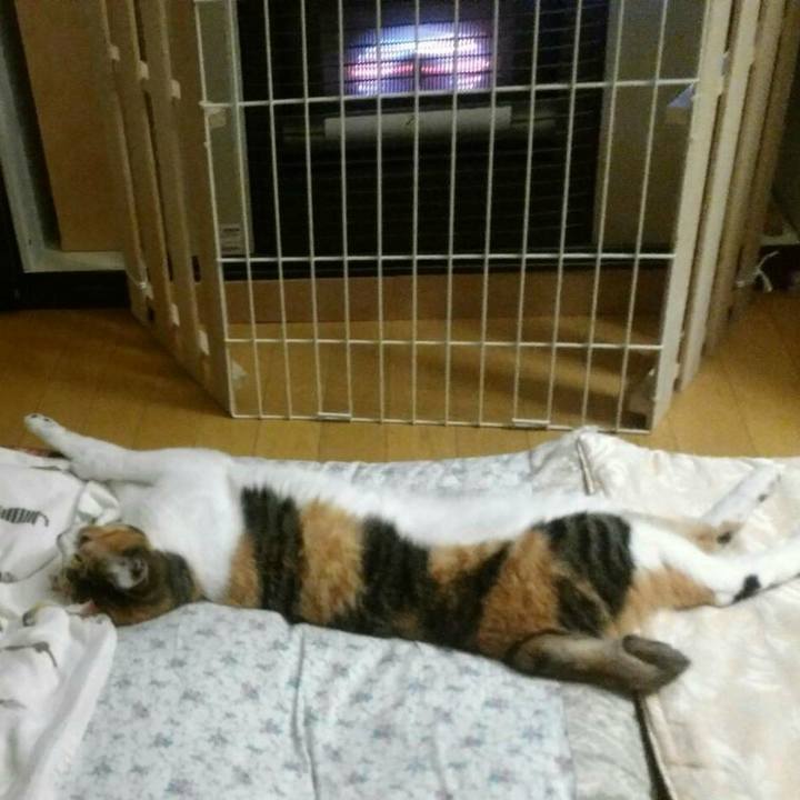 2128c456 cb87 4f0a 803e 317281616560 1539943984240