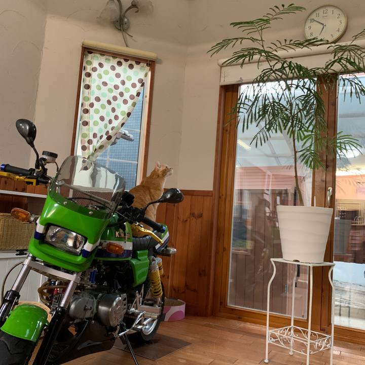 2128cd24 d1e9 439e 9958 0e1b37d968f1 1668775578154