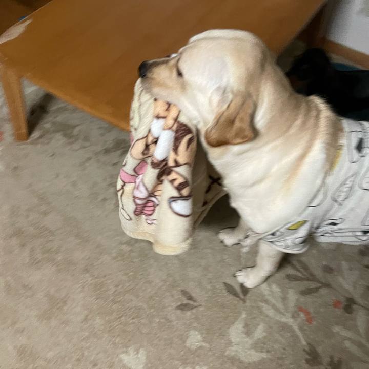 2128ee05 4a5b 4c2e b4f3 49ca7a986cab 1639951202816