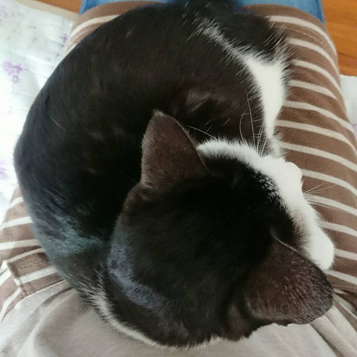 2128fa82 7db3 4afb a6a2 9ad2b1a744e3 1510285102381