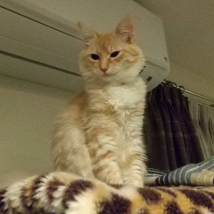 2129069f 18cd 4655 84a1 906ce86c7fa3 1613294636251