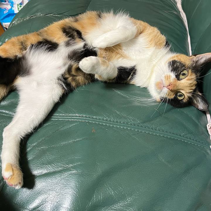 212915bc 1dbb 437a ae24 4664799fffd5 1653558887916