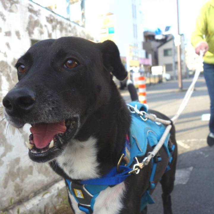 212920d7 73cd 4977 9b91 a7e87f723b0d 1636859153063