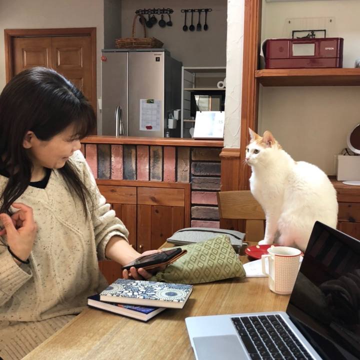 21293e83 66f4 4638 a228 d108749b6e62 1642246434134