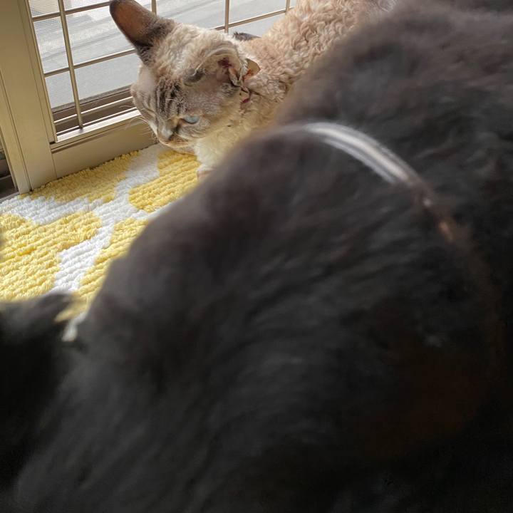 2129578f 8c6e 47b5 be92 8bf9326f3ea2 1625650952111