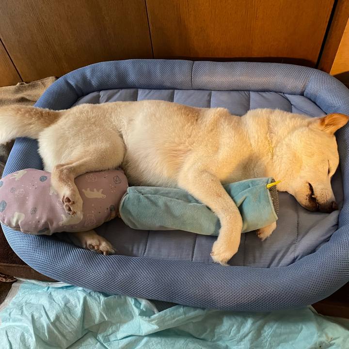 21296c93 816c 4ca9 831e 8bd7783e6c17 1651213872410