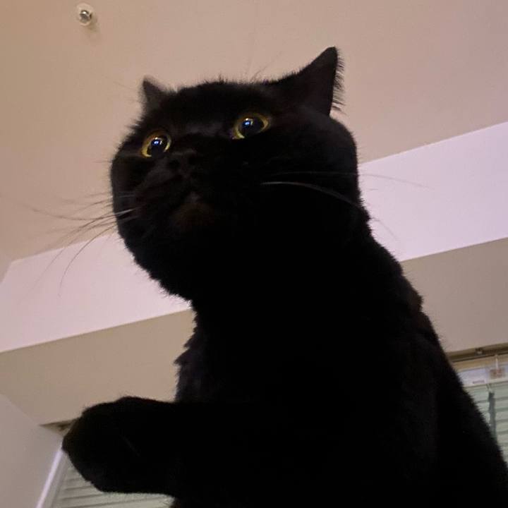 2129a601 3e86 41ad 8280 22a3904dee39 1770203433785