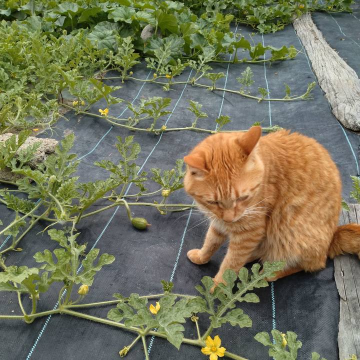 2129b1d1 1e0d 4fb9 8a03 4ab15c747077 1719734963599